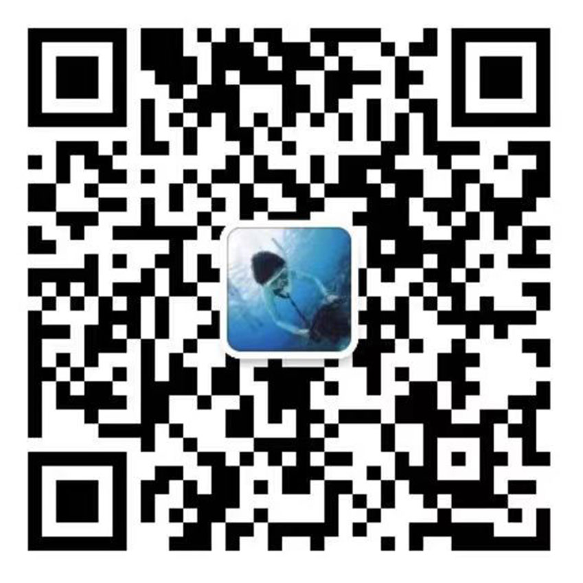 宅男视频APP在线观看電機